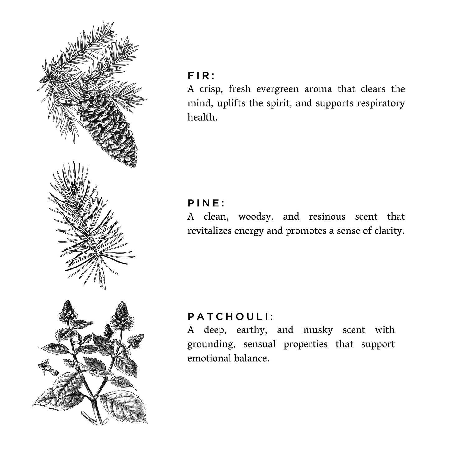 Forest Bathing - Reed Diffuser (Fir + Pine + Patchouli)